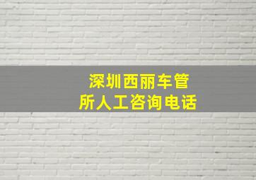 深圳西丽车管所人工咨询电话