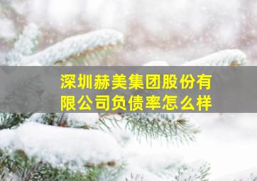 深圳赫美集团股份有限公司负债率怎么样