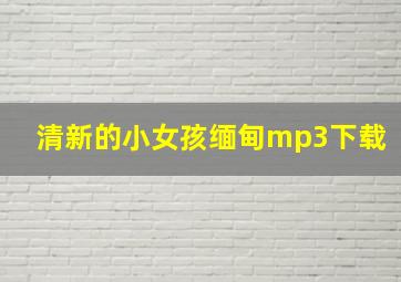 清新的小女孩缅甸mp3下载