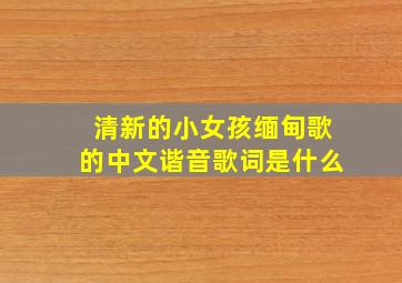 清新的小女孩缅甸歌的中文谐音歌词是什么