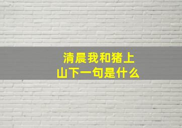 清晨我和猪上山下一句是什么