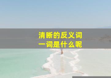 清晰的反义词一词是什么呢