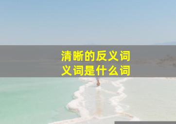 清晰的反义词义词是什么词