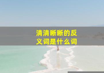 清清晰晰的反义词是什么词