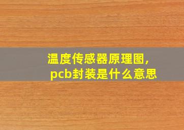 温度传感器原理图,pcb封装是什么意思