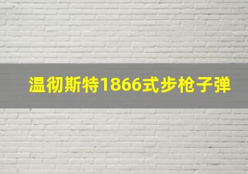 温彻斯特1866式步枪子弹