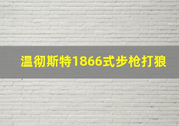 温彻斯特1866式步枪打狼