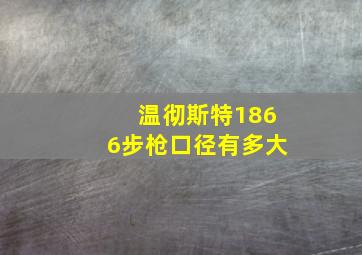 温彻斯特1866步枪口径有多大