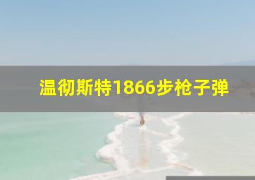 温彻斯特1866步枪子弹