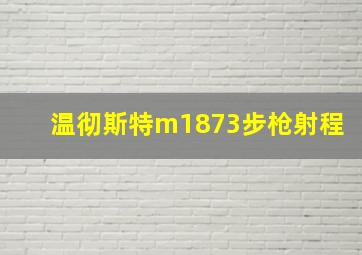 温彻斯特m1873步枪射程