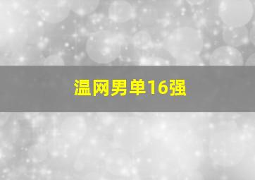 温网男单16强