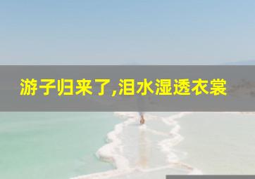 游子归来了,泪水湿透衣裳