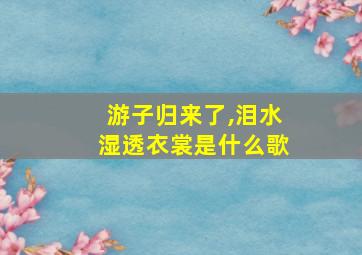 游子归来了,泪水湿透衣裳是什么歌