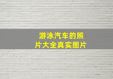 游泳汽车的照片大全真实图片