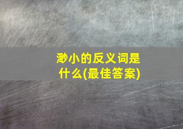 渺小的反义词是什么(最佳答案)