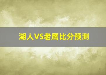 湖人VS老鹰比分预测