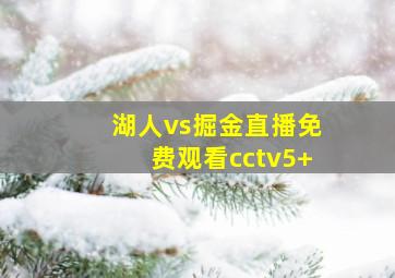 湖人vs掘金直播免费观看cctv5+