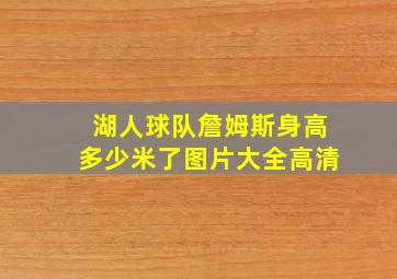 湖人球队詹姆斯身高多少米了图片大全高清