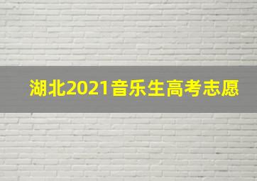 湖北2021音乐生高考志愿