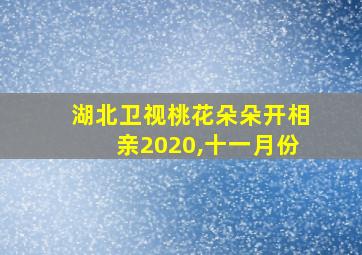 湖北卫视桃花朵朵开相亲2020,十一月份