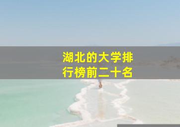 湖北的大学排行榜前二十名