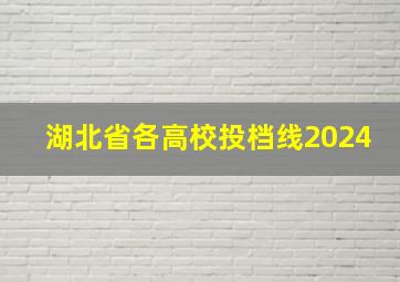 湖北省各高校投档线2024