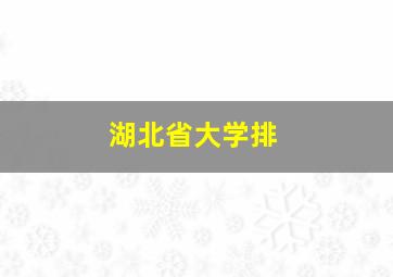 湖北省大学排