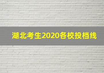 湖北考生2020各校投档线