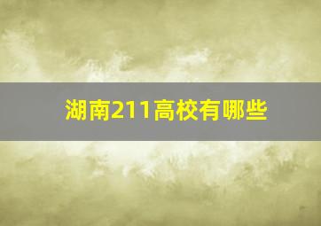 湖南211高校有哪些