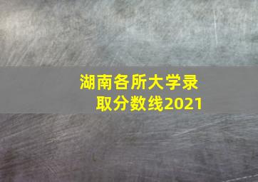 湖南各所大学录取分数线2021