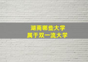 湖南哪些大学属于双一流大学