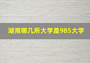 湖南哪几所大学是985大学