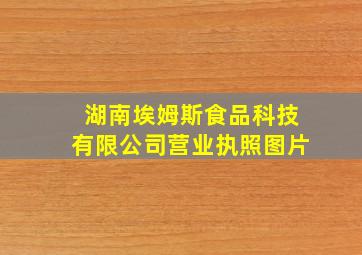 湖南埃姆斯食品科技有限公司营业执照图片