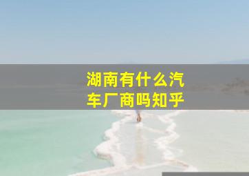 湖南有什么汽车厂商吗知乎