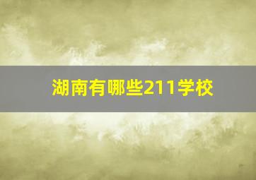 湖南有哪些211学校