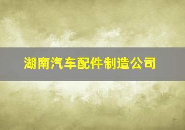 湖南汽车配件制造公司