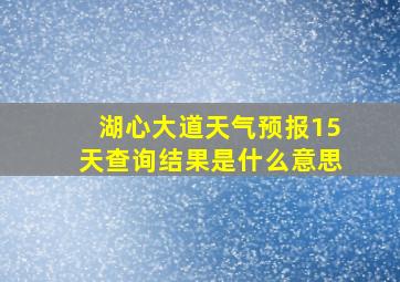 湖心大道天气预报15天查询结果是什么意思