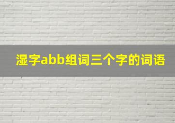 湿字abb组词三个字的词语