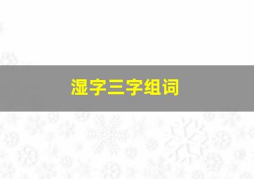 湿字三字组词