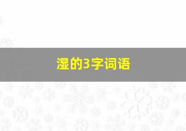 湿的3字词语