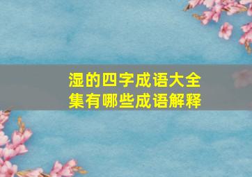 湿的四字成语大全集有哪些成语解释