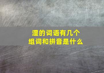 湿的词语有几个组词和拼音是什么