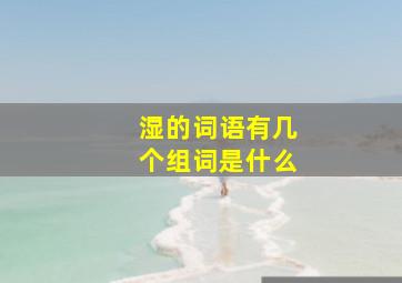 湿的词语有几个组词是什么