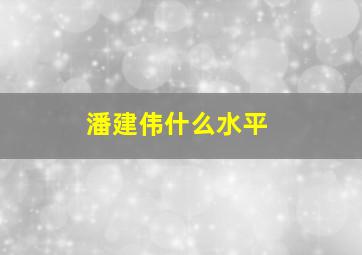 潘建伟什么水平