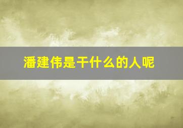 潘建伟是干什么的人呢