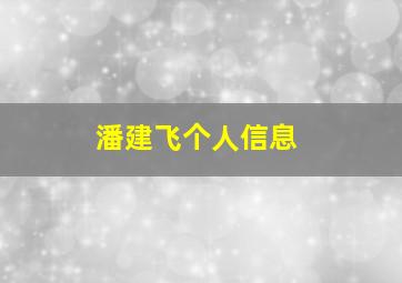 潘建飞个人信息