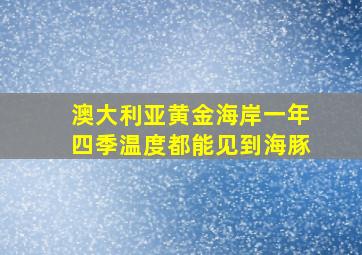 澳大利亚黄金海岸一年四季温度都能见到海豚