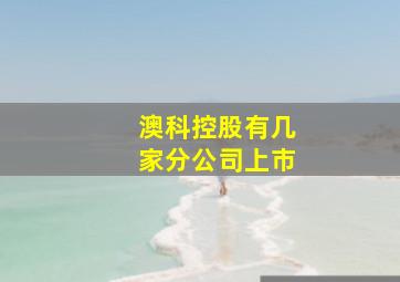 澳科控股有几家分公司上市