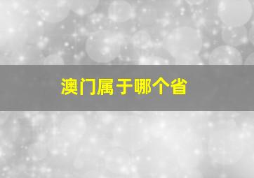 澳门属于哪个省