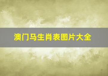 澳门马生肖表图片大全